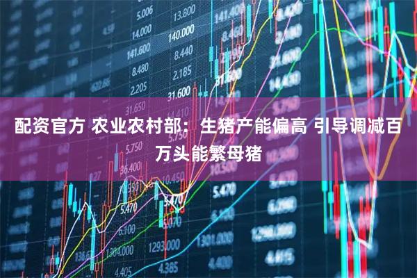 配资官方 农业农村部：生猪产能偏高 引导调减百万头能繁母猪